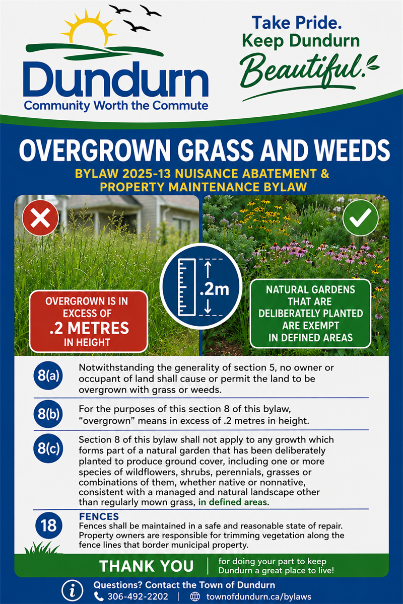 Overgrown_Grass_and_Weeds_Poster