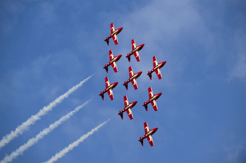 snowbirds