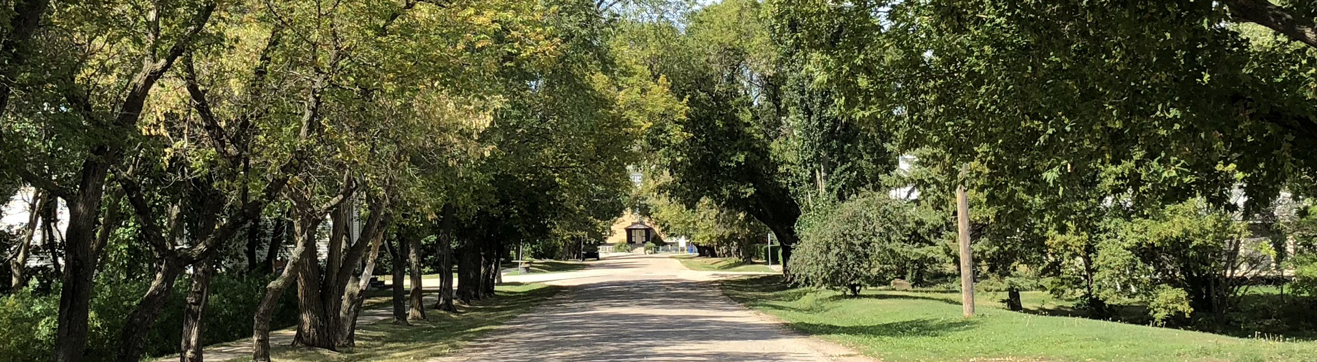 dundurn election info